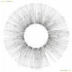 Collaboration (Vinyl) Collaboration (Vinyl)