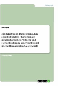 Kinderarbeit in Deutschland. Ein soziokulturelles Phänomen als gesellschaftliches Problem und Herausforderung einer funktional hochdifferenzierten Gesellschaft