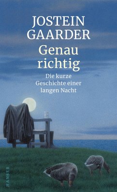 Genau richtig (eBook, ePUB) - Gaarder, Jostein