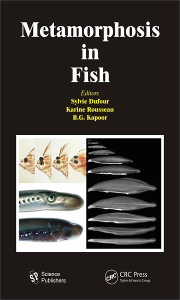 Metamorphosis in Fish (eBook, PDF) Metamorphosis in Fish (eBook, PDF)
