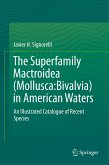 The Superfamily Mactroidea (Mollusca:Bivalvia) in American Waters