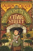The Magnificent Monsters of Cedar Street (eBook, ePUB)