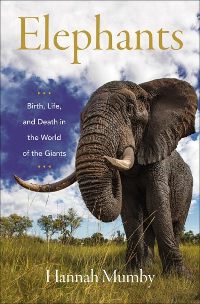 Elephants (eBook, ePUB)