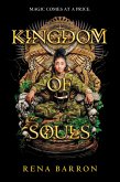 Kingdom of Souls (eBook, ePUB)