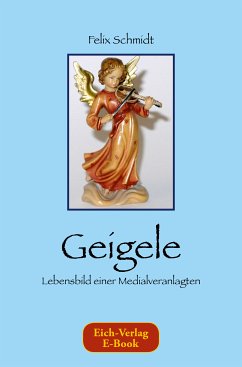 Geigele (eBook, ePUB) - Schmidt, Felix