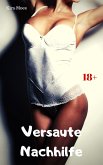 Versaute Nachhilfe (eBook, ePUB)