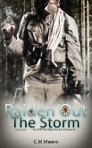 Raiden Out the Storm (An Off-the-Rails Ice Era Chronicle, #2) (eBook, ePUB)