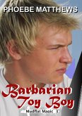 Barbarian Toy Boy (Mudflat Magic, #3) (eBook, ePUB)