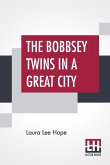 The Bobbsey Twins In A Great City