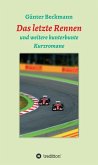 Das letzte Rennen (eBook, ePUB)