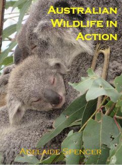 Australian Wildlife in Action (eBook, ePUB) - Spencer, Adelaide