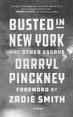 Busted in New York and Other Essays (eBook, ePUB)