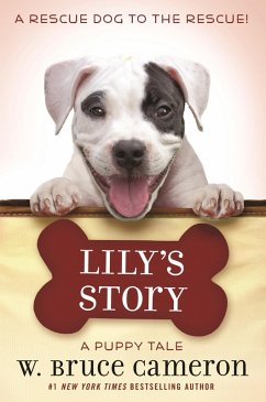 Lily's Story (eBook, ePUB) - Cameron, W. Bruce