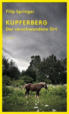 Kupferberg (eBook, ePUB) - Springer, Filip