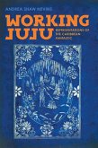 Working Juju (eBook, ePUB)