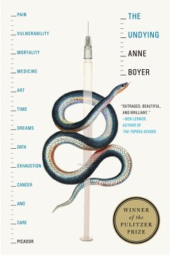 The Undying (eBook, ePUB) - Boyer, Anne
