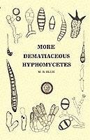 More Dematiaceous Hyphomycetes - Cabi