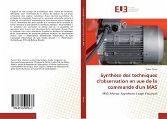 Synthèse des techniques d'observation en vue de la commande d'un MAS - Terras, Tahar