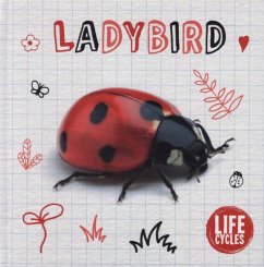 Ladybird - Vallepur, Shalini