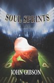 Soul Sprints (eBook, ePUB)