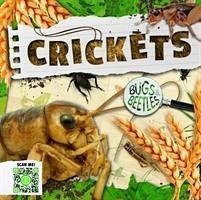 Crickets - Anthony, William