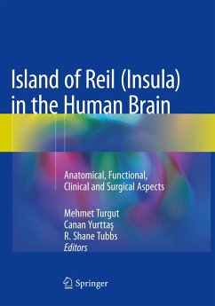 Island of Reil (Insula) in the Human Brain