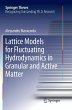 Lattice Models for Fluctuating... - Bild 1