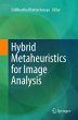 Hybrid Metaheuristics for Image Analysis - Bild 1