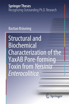 Structural and Biochemical Characterization of the YaxAB Pore-forming Toxin from Yersinia Enterocolitica - Bräuning, Bastian