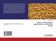 Effect of biofertilizer application on growth of maize