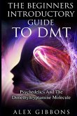 The Beginners Introductory Guide To DMT - Psychedelics And The Dimethyltryptamine Molecule