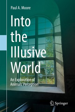 Into the Illusive World (eBook, PDF) - Moore, Paul A.
