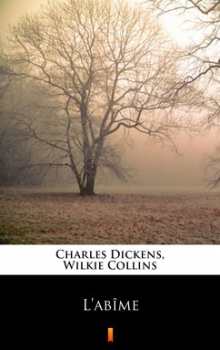 Cover L'abîme (eBook, ePUB)