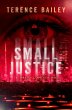 Small Justice (eBook, ePUB) - Bild 1