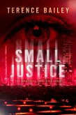 Small Justice (eBook, ePUB)