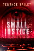 Small Justice (eBook, ePUB)