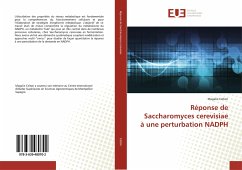 Réponse de Saccharomyces cerevisiae à une perturbation NADPH - Celton, Magalie