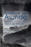 Emotions Torn Asunder