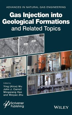 Gas Injection Into Geological Formations and Related Topics