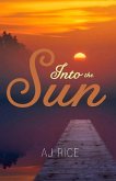 Into the Sun: Volume 1