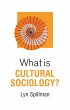 What Is Cultural Sociology? - Bild 1