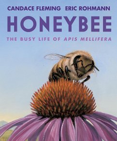 Honeybee: The Busy Life of APIs Mellifera - Fleming, Candace