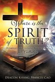 Where Is the Spirit of Truth?: Homilies and Gospel Reflections for Catholics