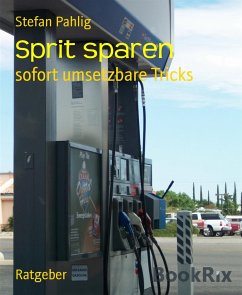 Sprit sparen (eBook, ePUB) - Pahlig, Stefan