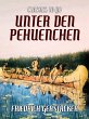 Unter den Pehuenchen (eBook, ePUB) - Bild 1