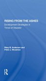 Rising From The Ashes (eBook, PDF)