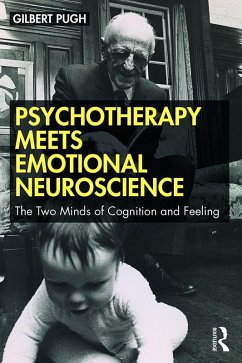 Cover Psychotherapy Meets Emotional Neuroscience (eBook, PDF)