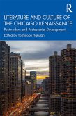 Literature and Culture of the Chicago Renaissance (eBook, PDF)