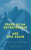 Crash as an Entrepreneur and Rise Again (eBook, ePUB)