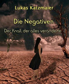 Die Negativen (eBook, ePUB) - Katzmaier, Lukas